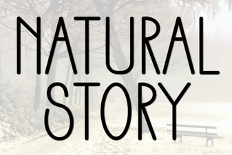 Craft Authentic Narratives with Natural Story Font